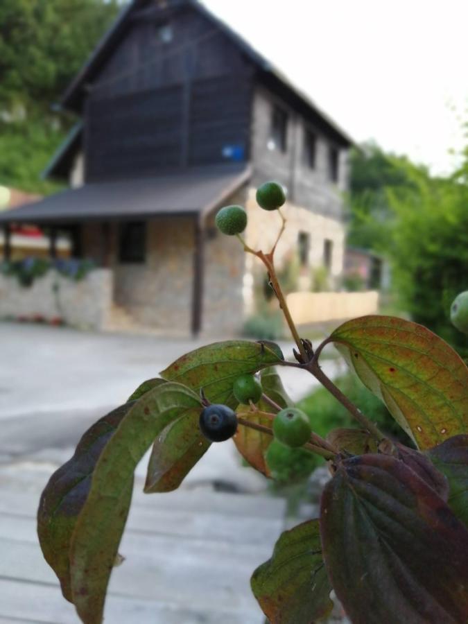 House Marijan Apartment Korana Luaran gambar